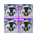 Pingvin - Táncoló talpak - Gyémánt képkirakó 50*50 cm