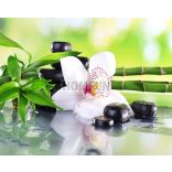 ZEN - Gyémánt képkirakó 45*60 cm