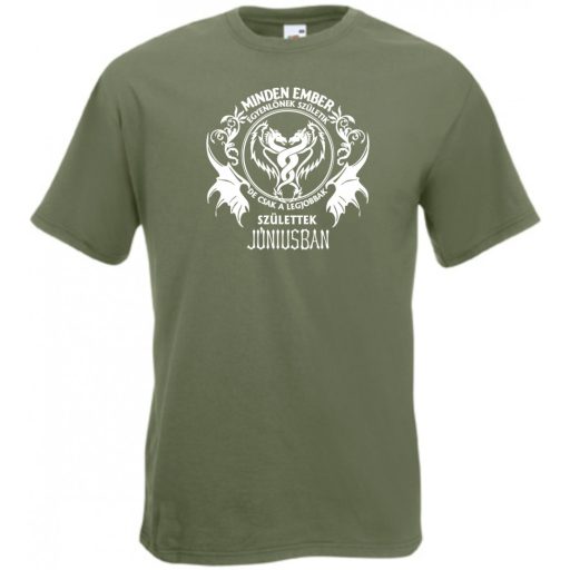 Minden ember egyenlőnek születik - Június férfi rövid ujjú póló