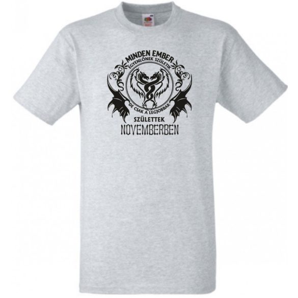 Minden ember egyenlőnek születik - November férfi rövid ujjú póló