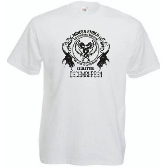 Minden ember egyenlőnek születik - December férfi rövid ujjú póló