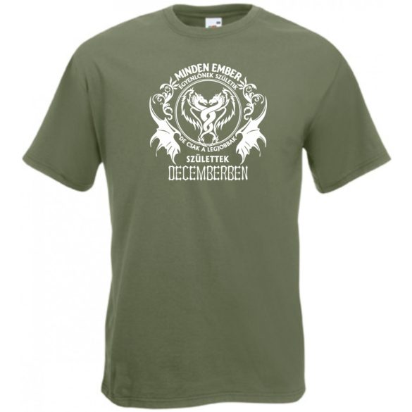 Minden ember egyenlőnek születik - December férfi rövid ujjú póló