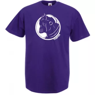 Hősök Bosszúállók Thanos férfi rövid ujjú póló