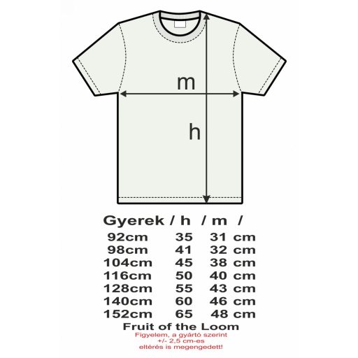 Minecraft világ gyerek rövid ujjú póló