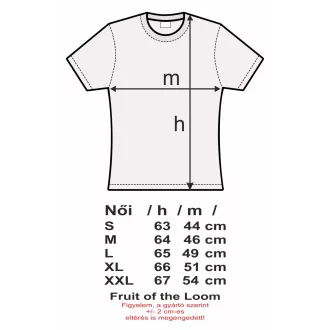 GOT The North Remembers női rövid ujjú póló