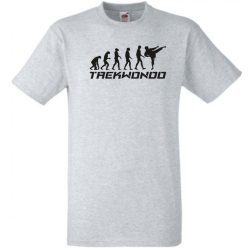 Evolúció – Taekwondo gyerek rövid ujjú póló