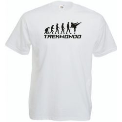 Evolúció - Taekwondo férfi rövid ujjú póló