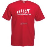 Evolúció - Taekwondo férfi rövid ujjú póló