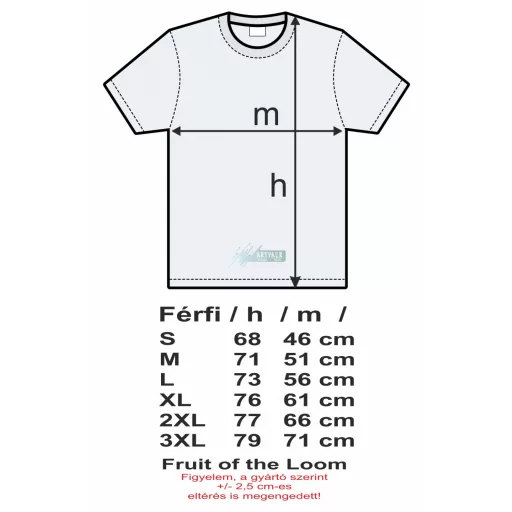 Fin Formula zászló Kimi férfi rövid ujjú póló