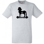 Humor - Trójai faló férfi rövid ujjú póló