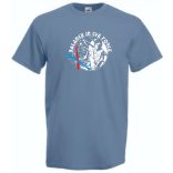 Humor - Balance in the Force férfi rövid ujjú póló