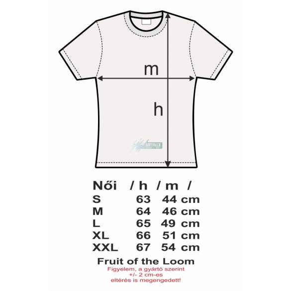 Formula fan Evolution Formula 1 női rövid ujjú póló
