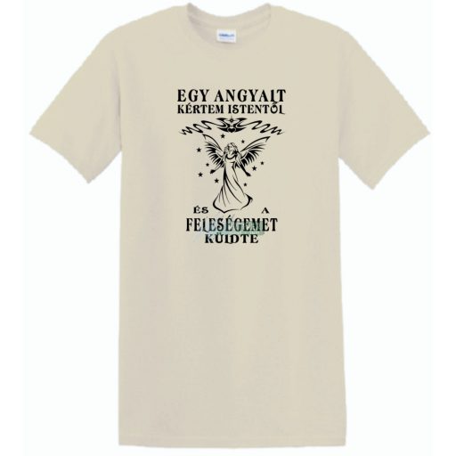 Kértem Istentől egy Angyalt ... feleségemet férfi rövid ujjú póló