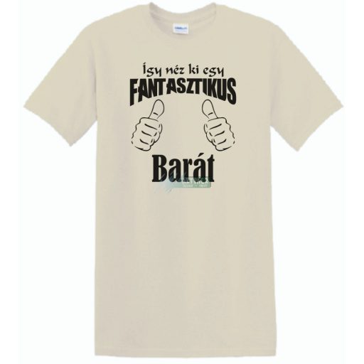 Így néz ki egy fantasztikus - barát férfi rövid ujjú póló