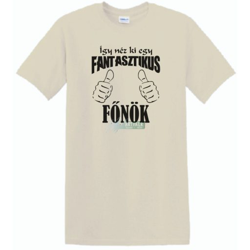 Így néz ki egy fantasztikus - főnök férfi rövid ujjú póló