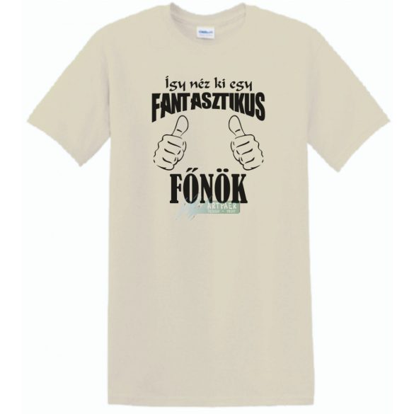 Így néz ki egy fantasztikus - főnök férfi rövid ujjú póló