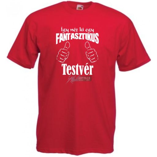 Így néz ki egy fantasztikus - testvér férfi rövid ujjú póló