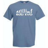 Buli Legénybúcsú Evolúció férfi rövid ujjú póló