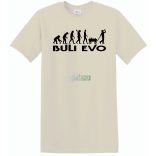Buli Legénybúcsú Evolúció férfi rövid ujjú póló