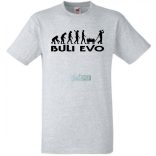 Buli Legénybúcsú Evolúció férfi rövid ujjú póló
