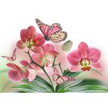 ZEN - a pillanat öröme - Életszemlélet I/B - poszter