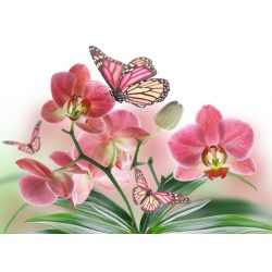 ZEN - a pillanat öröme - Életszemlélet I/B - poszter