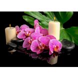 ZEN - a pillanat öröme - Életszemlélet I/E - poszter