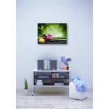 ZEN - a pillanat öröme - Életszemlélet II/B - poszter