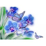 ZEN - a pillanat öröme - Életszemlélet II/F - poszter