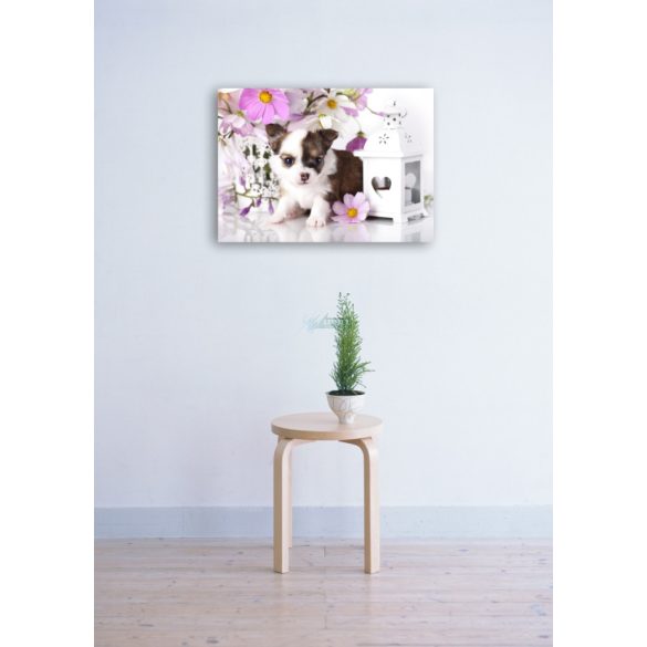 Élővilág - Kis kedvencek - kiskutya poszter