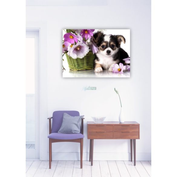 Élővilág - Kis kedvencek - kiskutya poszter