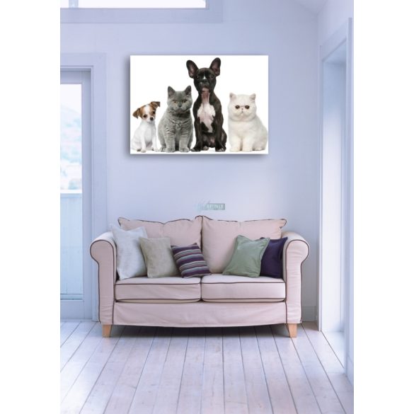 Élővilág - Kis kedvencek - kutyák-cicák poszter