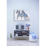 Élővilág - Kis kedvencek - lovak poszter