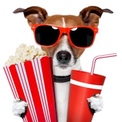   Élővilág - Kis kedvencek - humoros kutya a moziban poszter