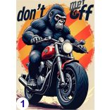 Humoros motoros, élővilág - poszter