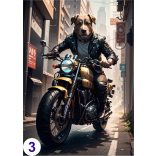 Humoros motoros, élővilág - poszter