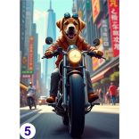 Humoros motoros, élővilág - poszter