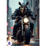 Humoros motoros, élővilág - poszter