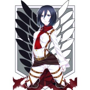 FanArt Anime - Attack On Titan - Shingeki no Kyojin - Mikasa Ackerman /A - poszter