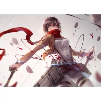   FanArt Anime - Attack On Titan - Shingeki no Kyojin - Mikasa Ackerman /B - poszter