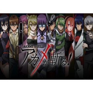 FanArt Anime - Akame Ga Kill - poszter