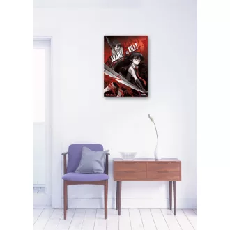 FanArt Anime - Akame Ga Kill - poszter