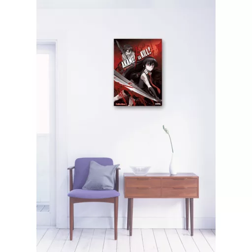 FanArt Anime - Akame Ga Kill - poszter