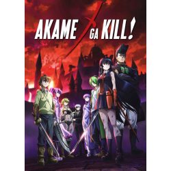 FanArt Anime - Akame Ga Kill - poszter
