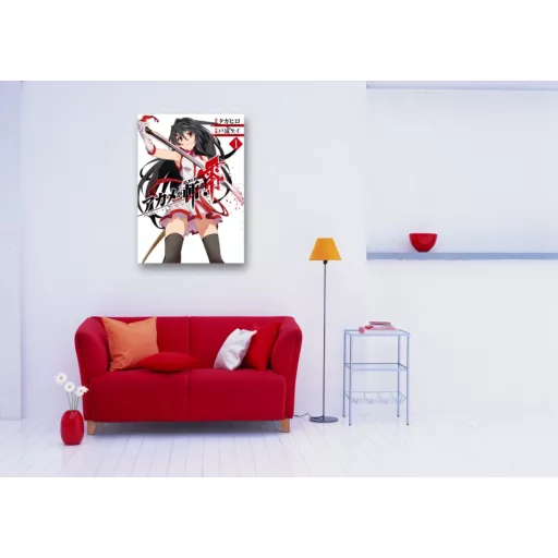 FanArt Anime - Akame Ga Kill - poszter