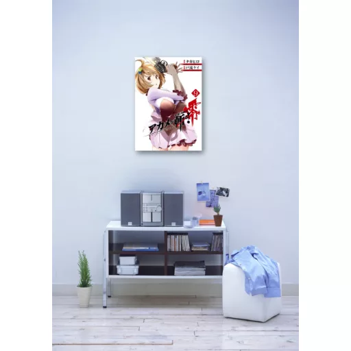 FanArt Anime - Akame Ga Kill - poszter