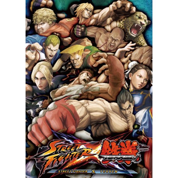 FanArt Anime - Street Fighter -B poszter
