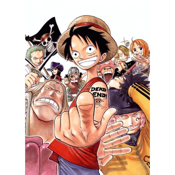FanArt Anime - One Piece -B - poszter