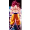FanArt Anime - Dragon Ball Z -Son Goku -A poszter