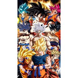 FanArt Anime - Dragon Ball Z - Son Goku - Vegeta - poszter